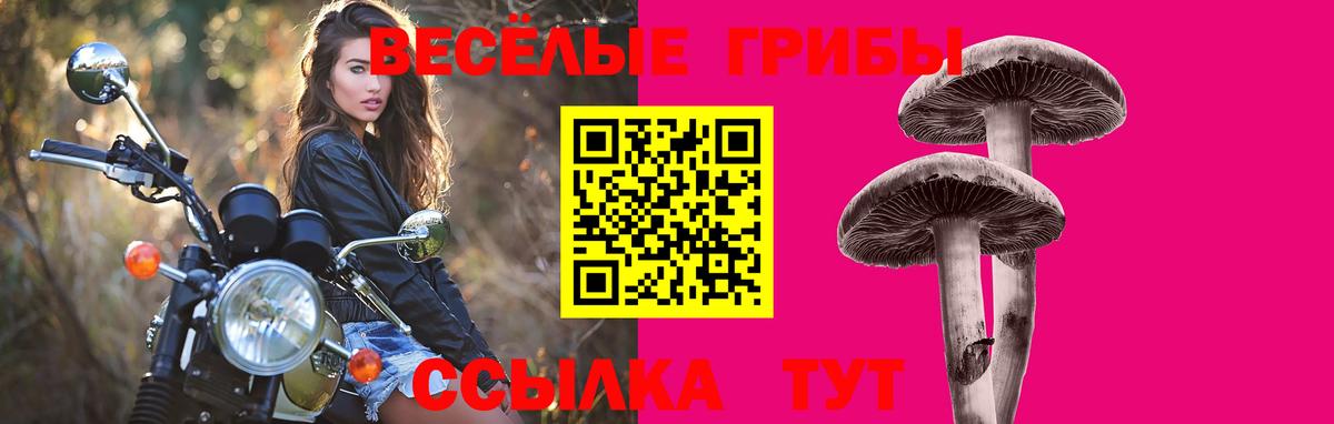 Псилоцибиновые грибы ЛСД Белово